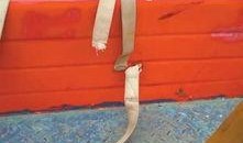 娱乐吃瓜酱安全带,揭秘娱乐圈那些不为人知的幕后故事