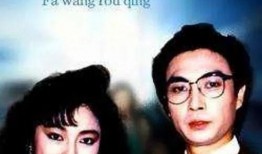 法网柔情在线观看,温情演绎正义与爱情的交织