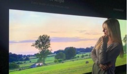 毛片在线直播在线观看,揭秘网络直播的灰色地带