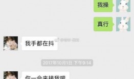 陈翔截图爆料视频大全,视频大全背后的惊人真相