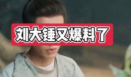 刘大锤爆料歌手视频大全,歌手视频大全大揭秘