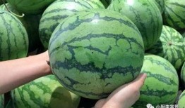 射阳吃瓜最新事件爆料是真的吗,真相揭秘还是网络谣言？