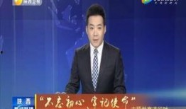 最新油价爆料新闻联播内容,新闻联播揭秘最新油价走势