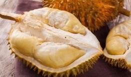 榴莲食品爆料怎么做视频