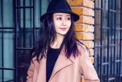 王大锤爆料王鸥视频在线观看,王鸥视频在线观看事件始末