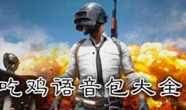 吃鸡国际服最新圣装爆料,圣装降临！吃鸡国际服最新爆料揭秘神秘圣装属性