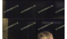 刘大锤爆料歌手视频大全,歌手视频大全大揭秘