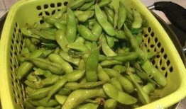 毛豆瓜子爆料怎么做视频,揭秘视频制作全攻略