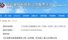 河北最新爆料,揭秘XX事件背后真相