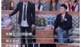 娱乐圈幕后爆料,真相与谎言的交织