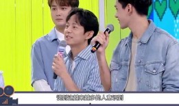 娱乐圈幕后爆料,真相与谎言的交织