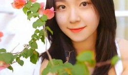 电视剧恋了爱了在线观看完整版