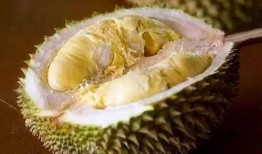 榴莲食品爆料怎么做视频