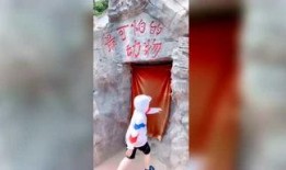 小猴娱乐爆料娱乐圈,娱乐圈幕后风云