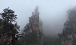 张家界爆料视频完整版,揭秘自然奇观背后的故事