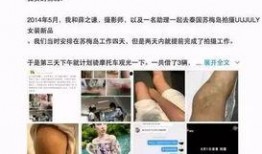 娱乐圈车祸爆料,惊心动魄的瞬间，明星们的生死时速