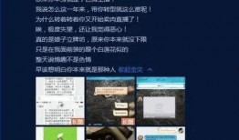 原型最新爆料,科技巨头新动向大曝光！