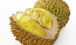 榴莲食品爆料怎么做视频