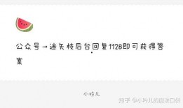 娱乐圈吃瓜爆料公众号,揭秘明星背后的秘密与真相