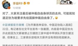 李璇爆料陈戌源事件视频,真相与争议交织
