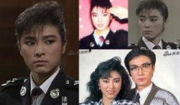 法网柔情在线观看,温情演绎正义与爱情的交织