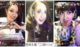 东北姑娘爆料带货视频播放,揭秘带货直播背后的魅力与挑战