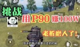 爆料第一人吃鸡视频