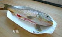 西北美食爆料视频大全,视频大全带你领略风味盛宴