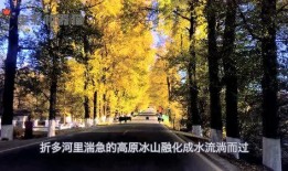 娱乐吃瓜君黄山,揭秘娱乐圈背后的那些事儿