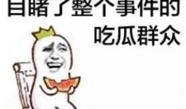 娱乐吃瓜酱造谣小说,揭秘网络造谣小说背后的真相