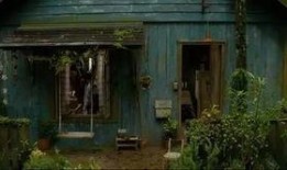 小木屋电影在线观看,穿越时光的温馨之旅