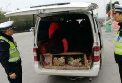 泉州面包车爆料事件最新,真相与争议交织的舆论漩涡